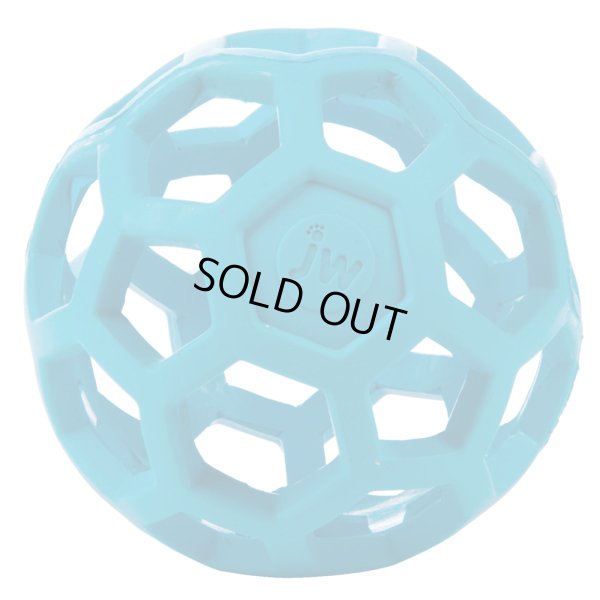 画像5: 【丈夫、安全、知育もできる】網状ボール・ホーリーローラーLサイズ★訳あり処分品★