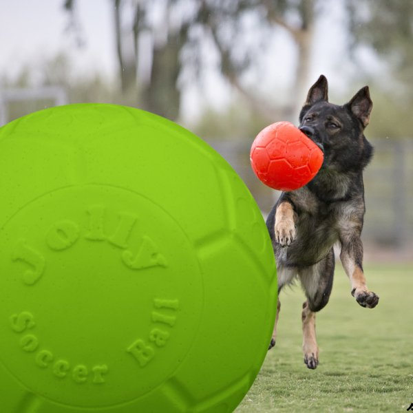 画像1: 【パンクしない特殊構造】愛犬とサッカー！ジョリーサッカーボール