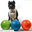画像10: 【パンクしない特殊構造】愛犬とサッカー！ジョリーサッカーボール (10)