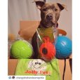 画像11: 【パンクしない特殊構造】愛犬とサッカー！ジョリーサッカーボール