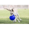 画像9: 【パンクしない特殊構造】愛犬とサッカー！ジョリーサッカーボール
