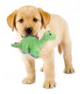 画像5: 【柔らか丈夫な犬用おもちゃ】ゴードッグ・ディノ（恐竜）カラフル (5)