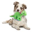 画像6: 【柔らか丈夫な犬用おもちゃ】ゴードッグ・ディノ（恐竜）カラフル (6)