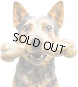 【ベーコンフレーバー入り迫力骨おもちゃ】ペットクワークス・ゾンビベーコン・バークボーン