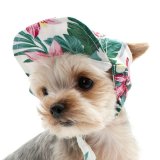 【ドゴペットファッションの犬用帽子】トロピカルアイランドハット