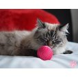 画像4: 【20種以上の音が出る猫用ボール】ペットクワークス・キャットバブルボール