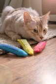 画像5: 【大人気猫用おもちゃ】ダッキーワールド・キャットニップ入りクレヨン3本入りセット (5)