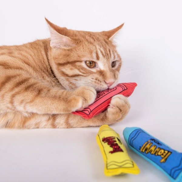 画像2: 【大人気猫用おもちゃ】ダッキーワールド・キャットニップ入りクレヨン3本入りセット