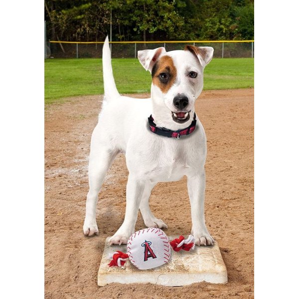 画像5: 【MLB公式ライセンス】メジャーリーグ野球ボールおもちゃロープつき