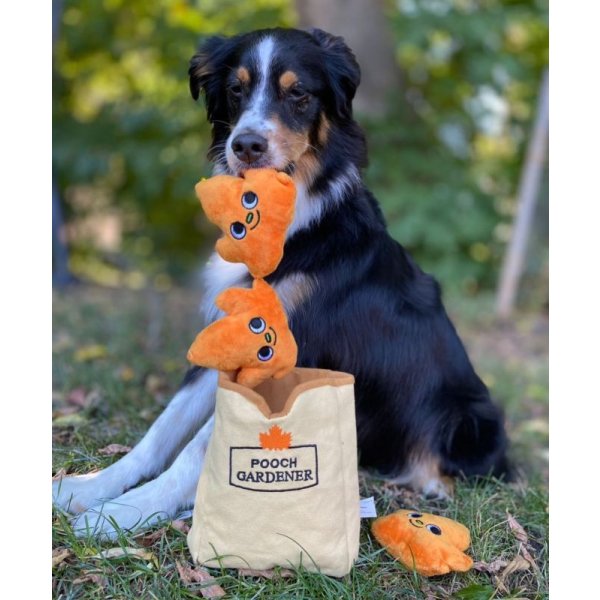 画像6: 【ハグスマートの丈夫なおもちゃ】オータムンテイルズ・リーフバッグ