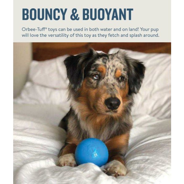 画像6: 【柔らかくて丈夫、キューと音が出る】オービータフ・スクイークボール