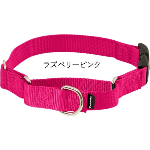 画像4: 【スッポ抜けないやさしい首輪】プレミアカラー