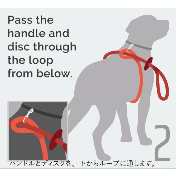 画像5: 【アメリカ老舗のこだわりハンドメイド】リフレクティブ・イージー 1-2-3 コンビネーション ハーネス／リード