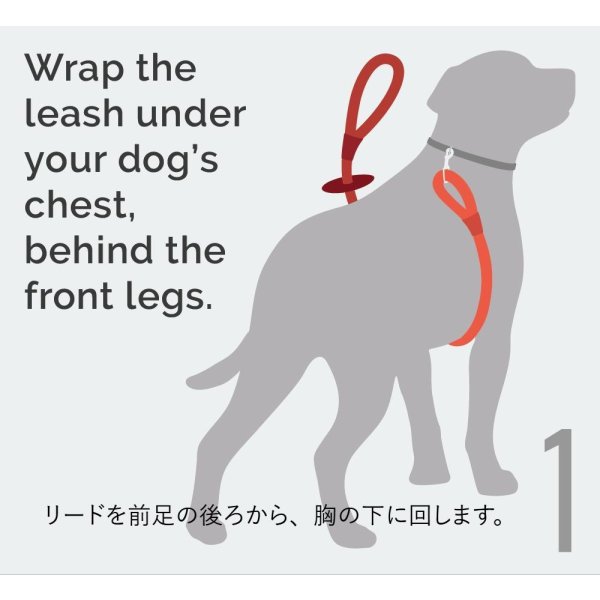 画像4: 【アメリカ老舗のこだわりハンドメイド】リフレクティブ・イージー 1-2-3 コンビネーション ハーネス／リード