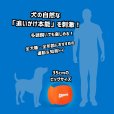 画像5: 【ドッグスポーツ用知育プレイボール】チャキット！ビッグエア フェッチ＆ハーディングボール
