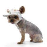 【ドゴペットファッションの犬用帽子】サボテン柄！カクタス・ハット