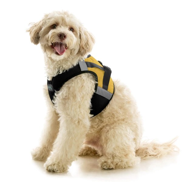 画像3: 【快適さと安全に特化！落ち着かせる効果も】ソフトメッシュ X ステップイン ハーネス