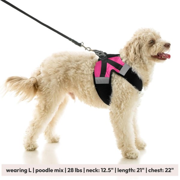 画像24: 【快適さと安全に特化！落ち着かせる効果も】ソフトメッシュ X ステップイン ハーネス