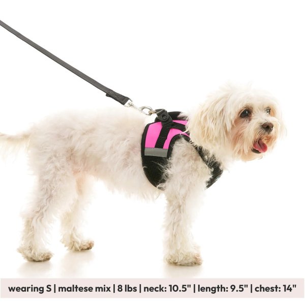 画像26: 【快適さと安全に特化！落ち着かせる効果も】ソフトメッシュ X ステップイン ハーネス