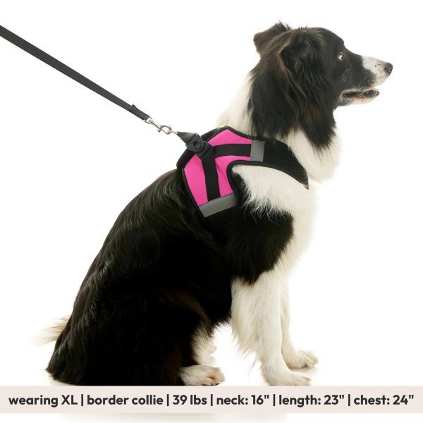 画像27: 【快適さと安全に特化！落ち着かせる効果も】ソフトメッシュ X ステップイン ハーネス