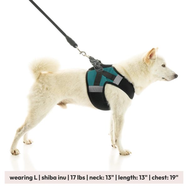 画像28: 【快適さと安全に特化！落ち着かせる効果も】ソフトメッシュ X ステップイン ハーネス