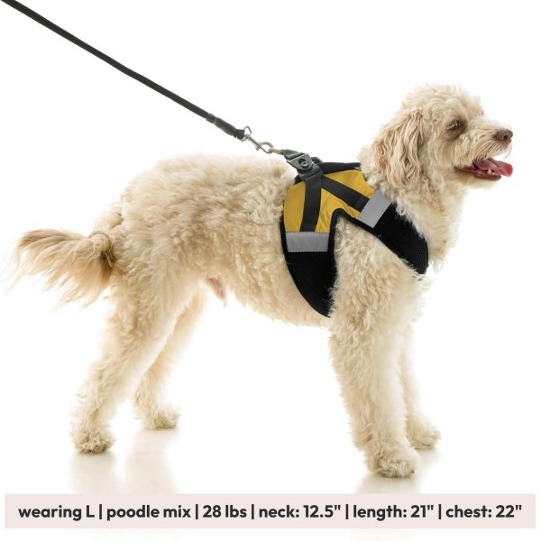 画像31: 【快適さと安全に特化！落ち着かせる効果も】ソフトメッシュ X ステップイン ハーネス