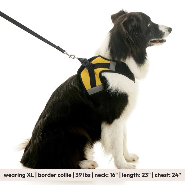 画像33: 【快適さと安全に特化！落ち着かせる効果も】ソフトメッシュ X ステップイン ハーネス