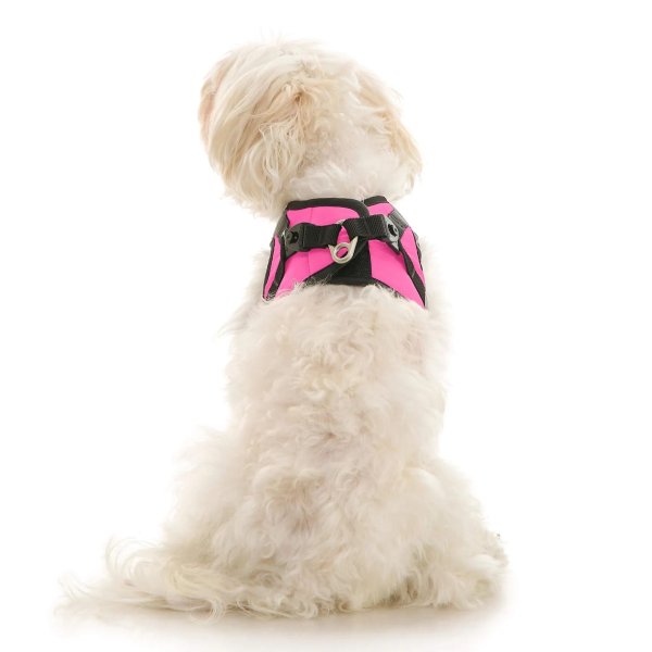 画像34: 【快適さと安全に特化！落ち着かせる効果も】ソフトメッシュ X ステップイン ハーネス