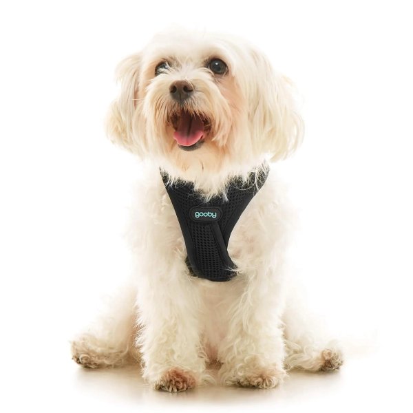 画像37: 【快適さと安全に特化！落ち着かせる効果も】ソフトメッシュ X ステップイン ハーネス