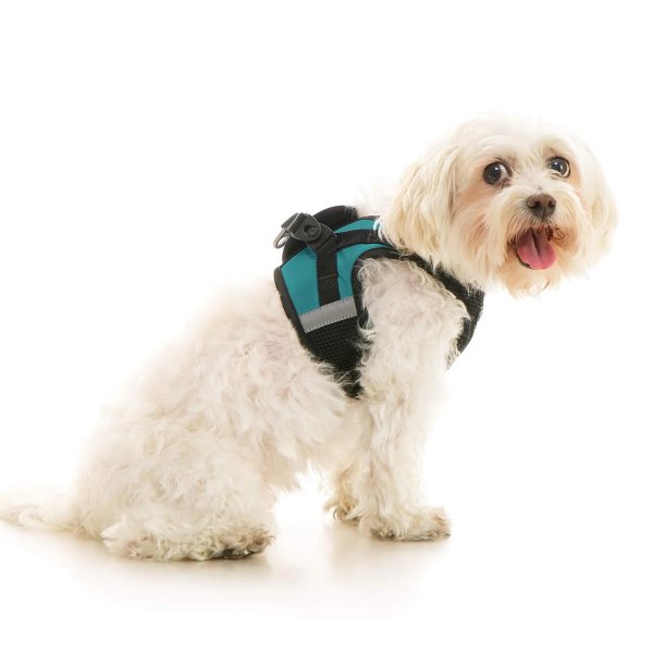 画像38: 【快適さと安全に特化！落ち着かせる効果も】ソフトメッシュ X ステップイン ハーネス