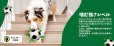 画像13: 【犬専用設計の多機能ボールトイ】ハイパーペット グラブタブ付き サッカーボール (13)