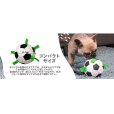 画像12: 【犬専用設計の多機能ボールトイ】ハイパーペット グラブタブ付き サッカーボール