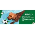 画像11: 【犬専用設計の多機能ボールトイ】ハイパーペット グラブタブ付き サッカーボール
