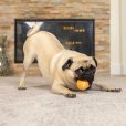 画像26: 【犬専用設計の高品質テニスボール】ハイパーペット テニスボール (26)