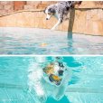 画像20: 【犬専用設計の高品質テニスボール】ハイパーペット テニスボール