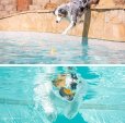 画像20: 【犬専用設計の高品質テニスボール】ハイパーペット テニスボール (20)