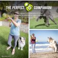 画像15: 【犬専用設計の高品質テニスボール】ハイパーペット テニスボール