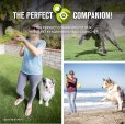 画像15: 【犬専用設計の高品質テニスボール】ハイパーペット テニスボール (15)