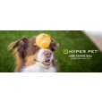 画像12: 【犬専用設計の高品質テニスボール】ハイパーペット テニスボール