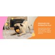 画像10: 【犬専用設計の高品質テニスボール】ハイパーペット テニスボール