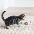 画像5: 【FATCATの猫用おもちゃ】狩猟本能を刺激! クラシック・イークス (5)