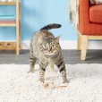 画像4: 【FATCATの猫用おもちゃ】狩猟本能を刺激! クラシック・イークス (4)
