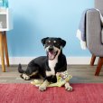 画像6: 【FATCATの犬猫用おもちゃ】フリップフロップ・ヤンカーズ (6)