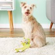 画像4: 【FATCATの犬猫用おもちゃ】フリップフロップ・ヤンカーズ (4)