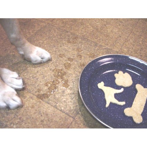 関連商品1: 【26種クッキー型☆各種犬ネコ〜かわいい形が色々！】