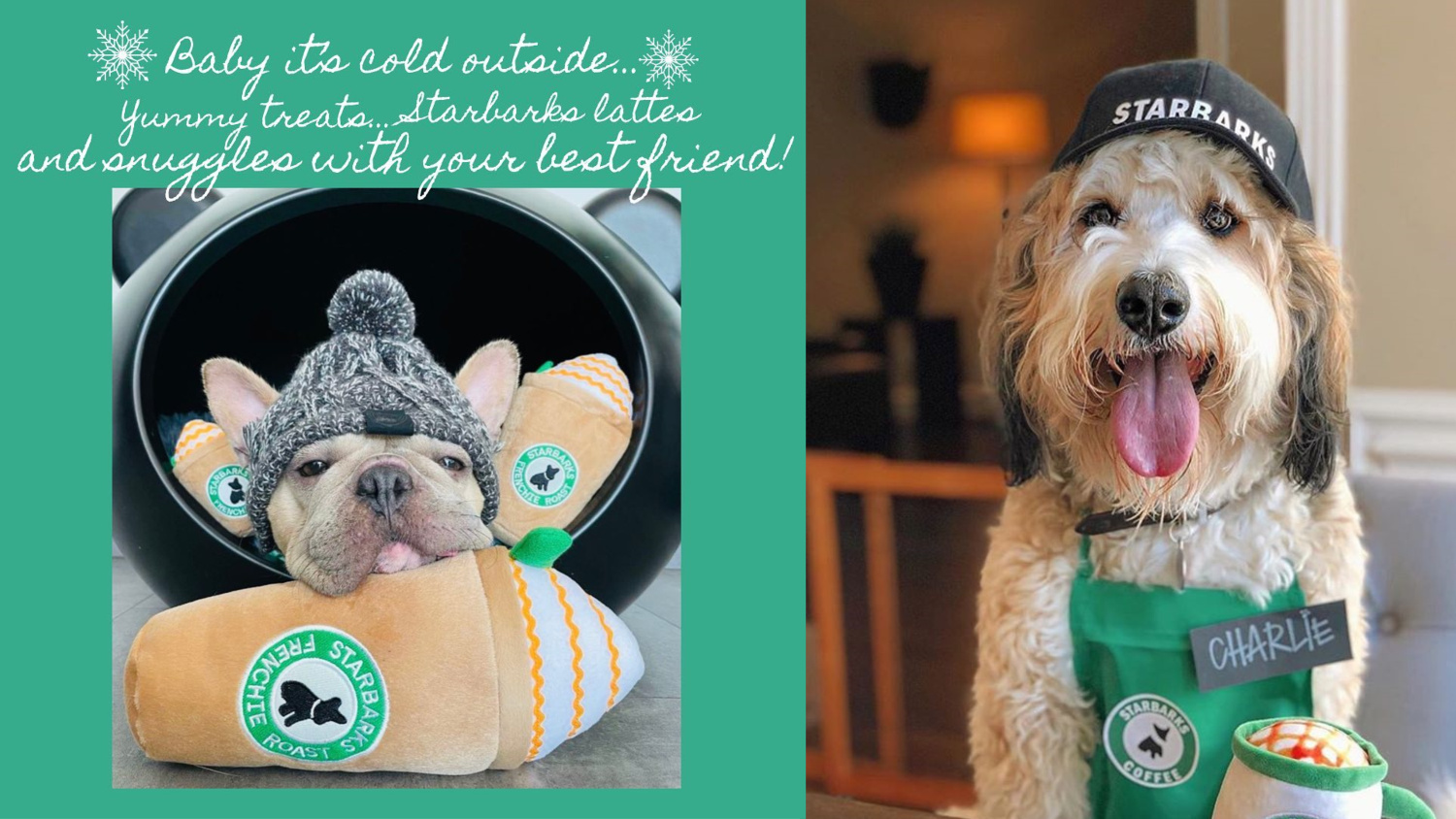 オートディギティドッグ