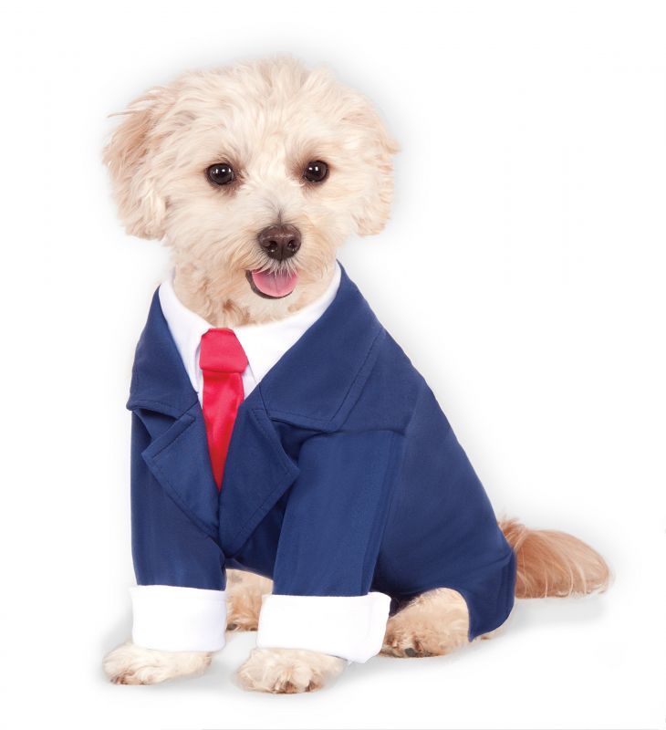 ハロウィーンの犬用コスチューム ビジネススーツ Lサイズ 半額 雑貨店cherry S