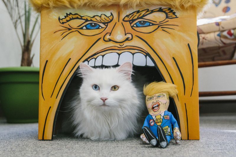 猫ちゃんのくつろぎのお家】トランプ大統領プレイハウス☆30%オフ在庫 