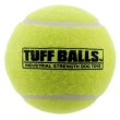 画像2: 【丈夫な犬用テニスボール】PetSportUSA タフボール (2)