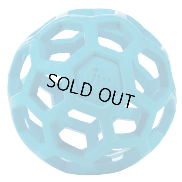 画像5: 【丈夫、安全、知育もできる】網状ボール・ホーリーローラーLサイズ★訳あり処分品★ (5)